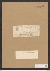 Berkeleya ehrenbergii (Kuetz). Grun. (de-Toni-Nr.: Genus 21, Species 1225) Zeichnungen Sammlung Grunow Nr. 2365 (NHMW-BOT-W0369499)
